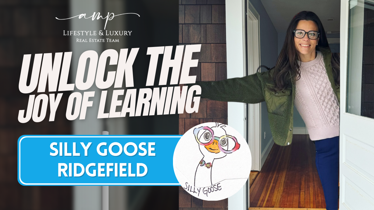 Silly Goose Ridgefield: A Beacon of Joy and Learning for Children